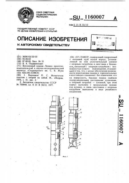 Пакер (патент 1160007)