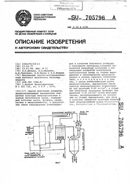 Способ получения биомассы (патент 705796)