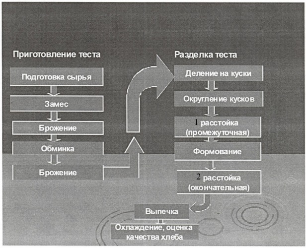 Способ приготовления хлеба (патент 2435404)