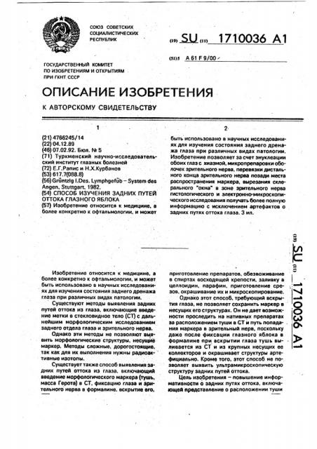 Способ изучения задних путей оттока глазного яблока (патент 1710036)