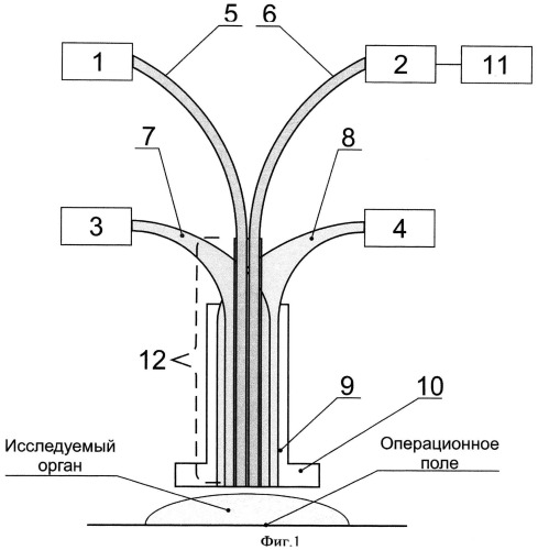 Устройство для флуоресцентной спектроскопии биологической ткани (патент 2539817)