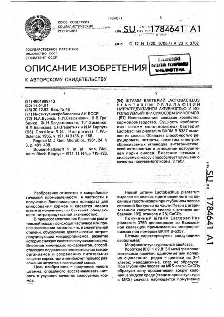 Штамм бактерий lастовасillus рlаnтаruм, обладающий нитратредуктазной активностью и используемый при силосовании кормов (патент 1784641)