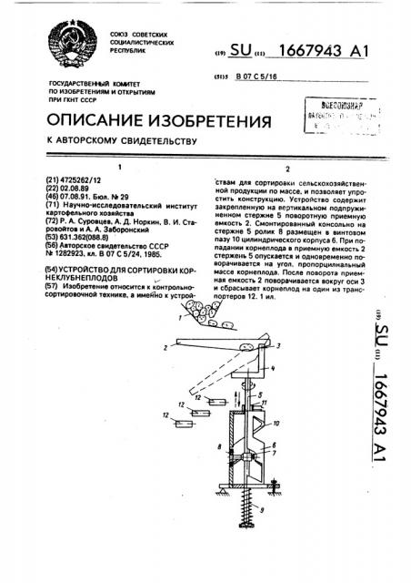 Устройство для сортировки корнеклубнеплодов (патент 1667943)