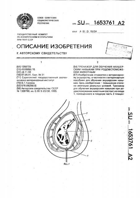 Тренажер для обучения акушерским навыкам при родовспоможении животным (патент 1653761)