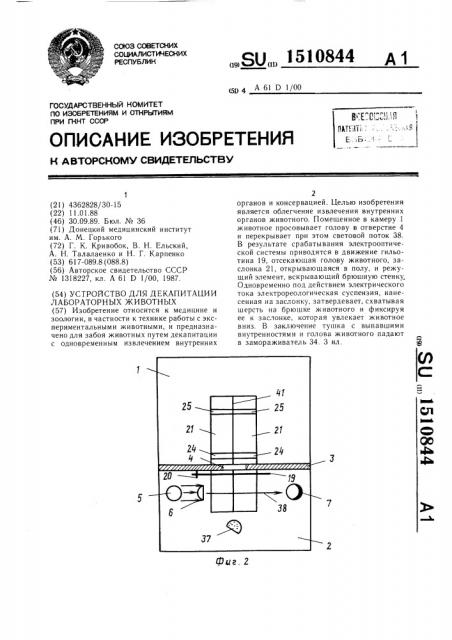 Устройство для декапитации лабораторных животных (патент 1510844)