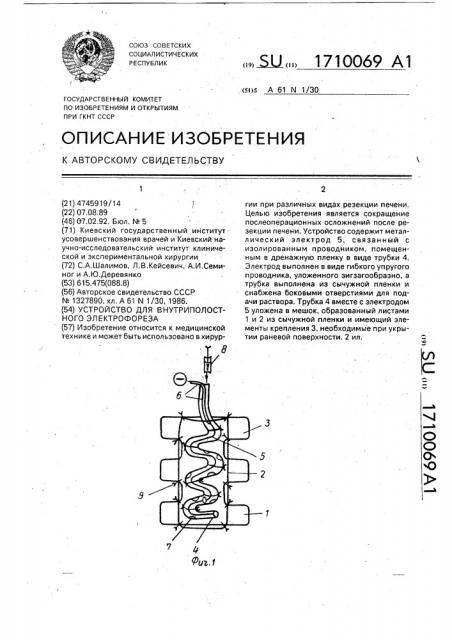 Устройство для внутриполостного электрофореза (патент 1710069)