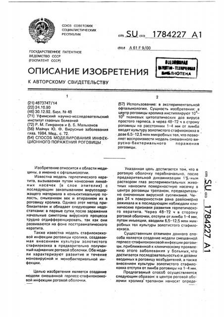 Способ моделирования инфекционного поражения роговицы (патент 1784227)