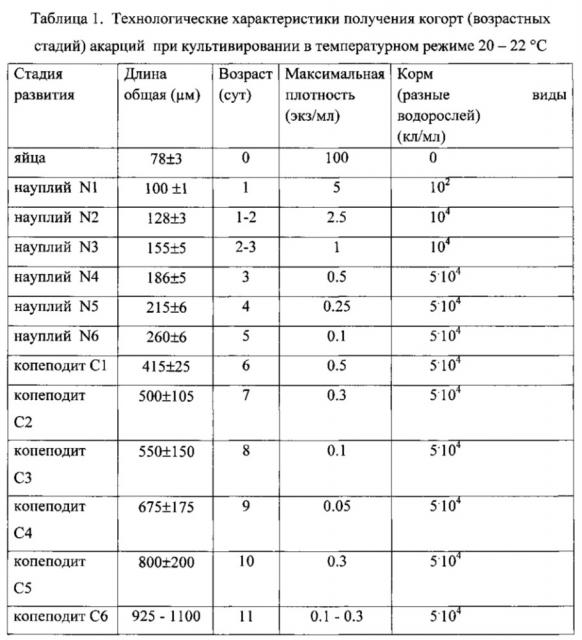 Способ интенсивного когортного культивирования акарций (морских каланоидных копепод) (патент 2614644)