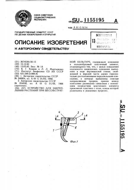 Устройство для закрепления растений при бессубстратной культуре (патент 1155195)