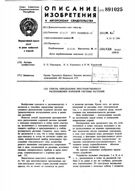 Способ определения пространственного расположения корневой системы растений (патент 891025)