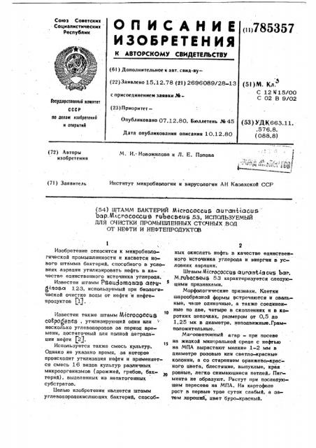 Штамм бактерий 53, используемый для очистки промышленных сточных вод от нефти и нефтепродуктов (патент 785357)