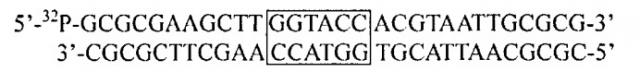 Рекомбинантный штамм бактерий escherichia coli n41 (pbpun4/mr)-продуцент сайт-специфической эндонуклеазы рестрикции bpun4i (патент 2529362)