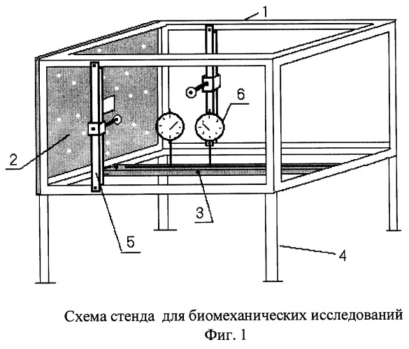 Способ исследования жёсткости моделей чрескостного остеосинтеза и устройство для его осуществления (патент 2246139)