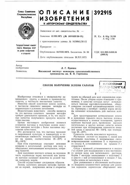 Способ получения зелени салатов (патент 392915)