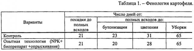 Способ стимулирования роста и развития картофеля (патент 2425477)