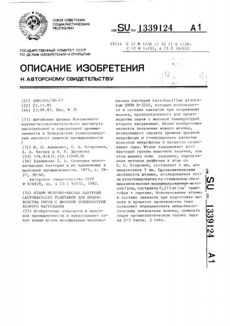 Штамм молочнокислых бактерий lастовасillus рlаnтаruм для производства сыров с высокой температурой второго нагревания (патент 1339124)