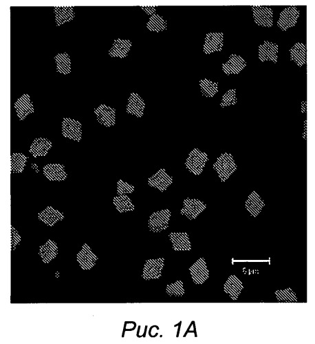 Способ формирования микрочастиц (патент 2521388)