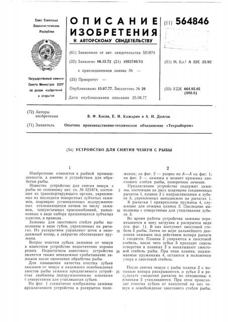 Устройство для снятия чешуи с рыбы (патент 564846)