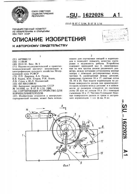 Сортирующее устройство для корнеклубнеплодов (патент 1622028)