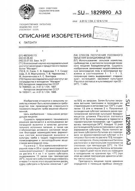 Способ получения посевного мицелия базидиомицетов (патент 1829890)
