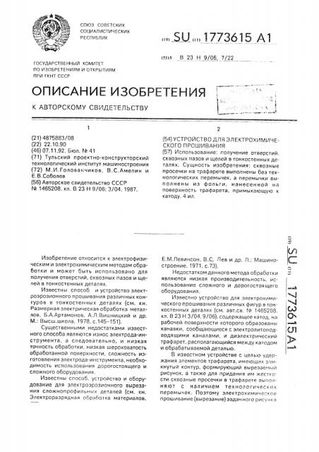 Устройство для электрохимического прошивания (патент 1773615)