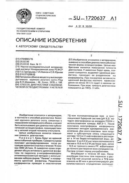 Способ диагностики субклинической остеодистрофии у нетелей (патент 1720637)