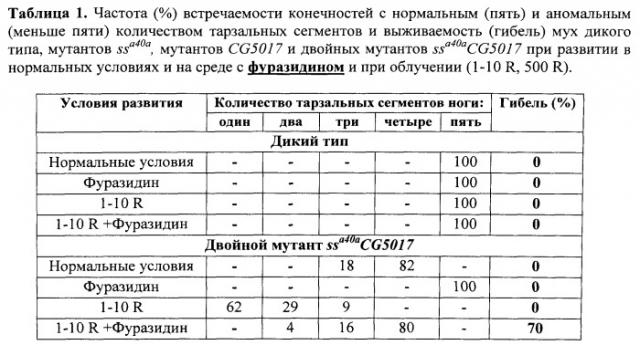 Способ оценки фармакологических и токсикологических свойств веществ - радио-, токсикопротекторов и радио-, токсикосенсибилизаторов (патент 2534822)