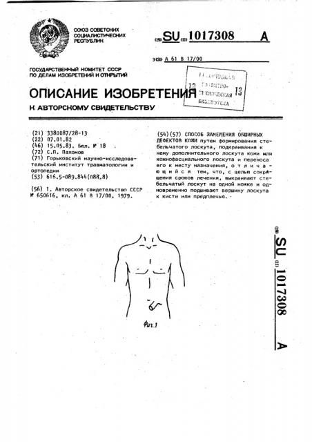 Способ замещения обширных дефектов кожи (патент 1017308)