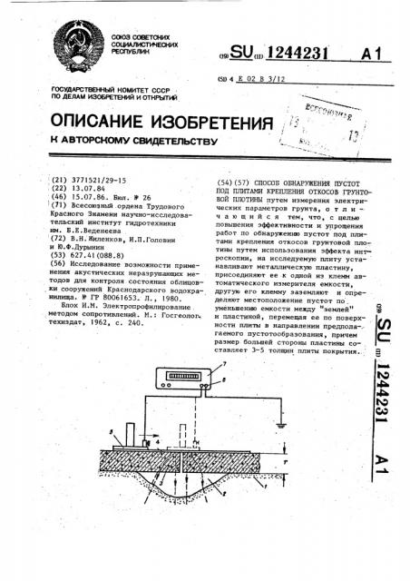 Способ обнаружения пустот под плитами крепления откосов грунтовой плотины (патент 1244231)