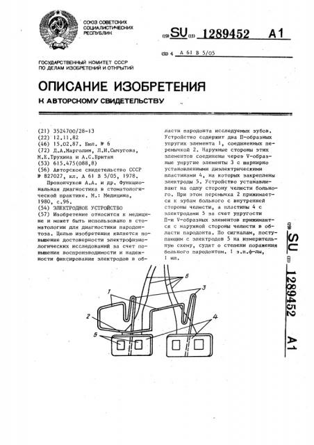 Электродное устройство (патент 1289452)