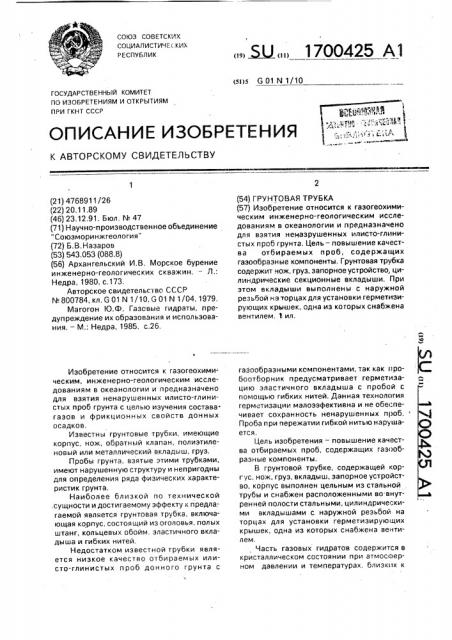 Грунтовая трубка (патент 1700425)