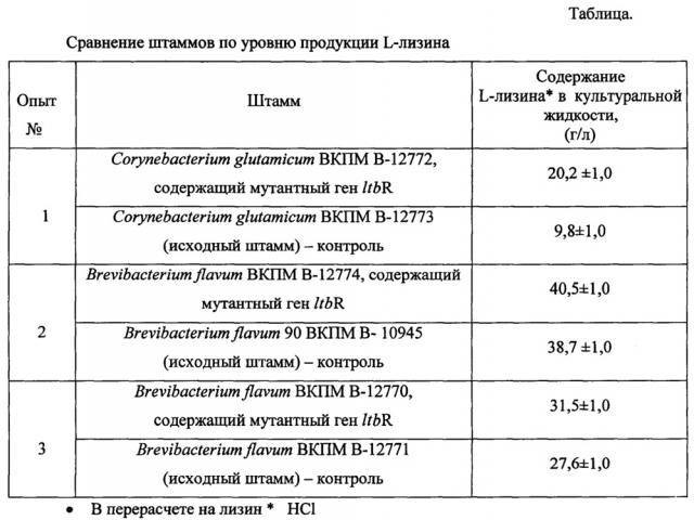 L-лизин-продуцирующая коринеформная бактерия с инактивированным геном ltbr и способ получения l-лизина с использованием этой бактерии (патент 2639247)