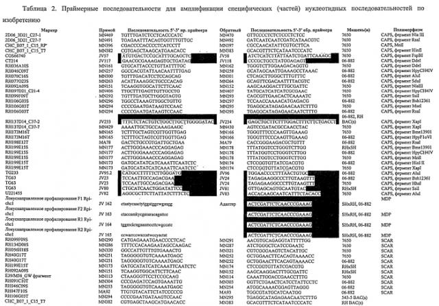 Клонирование и использование функционального r-гена из solanum chacoense (патент 2586509)