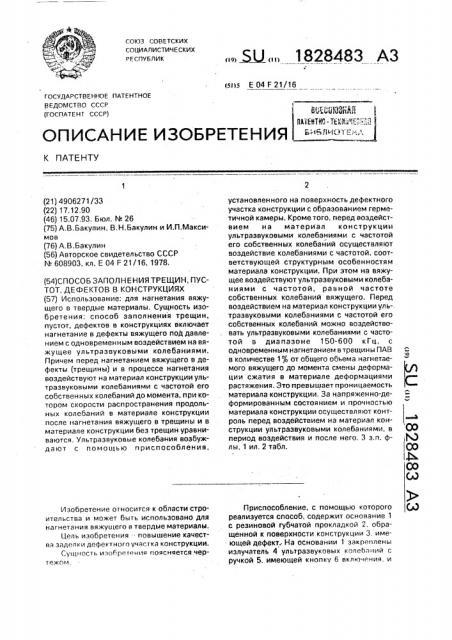 Способ заполнения трещин, пустот, дефектов в конструкциях (патент 1828483)