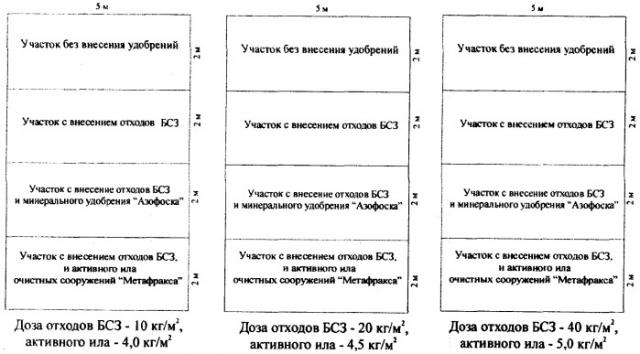 Способ рекультивации нарушенных земель (патент 2336684)
