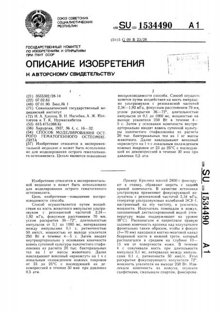 Способ моделирования острого гематогенного остеомиелита (патент 1534490)