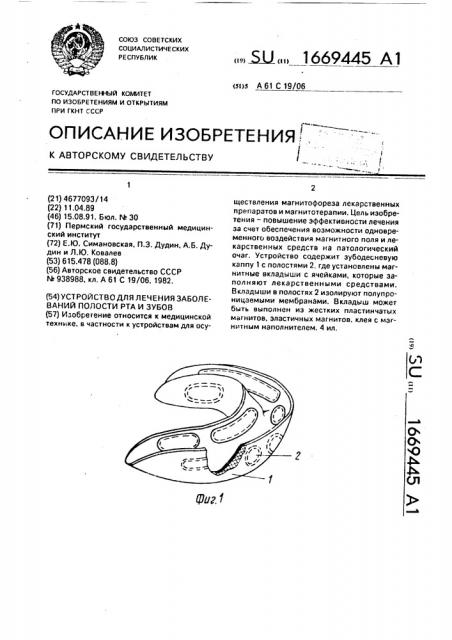 Устройство для лечения заболеваний полости рта и зубов (патент 1669445)