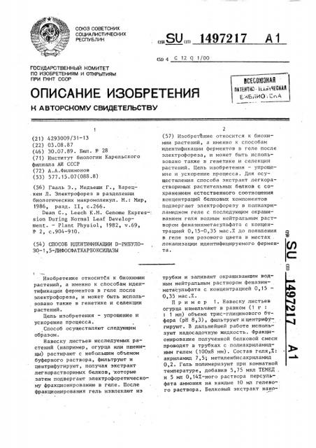 Способ идентификации d-рибулозо-1,5-дифосфаткарбоксилазы (патент 1497217)