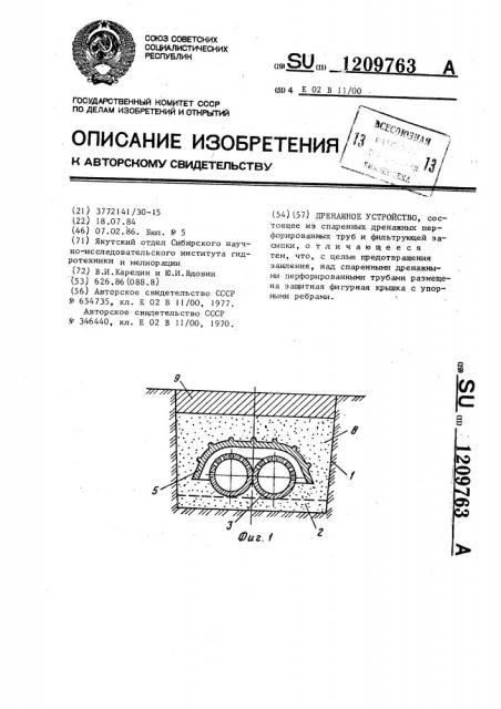 Дренажное устройство (патент 1209763)