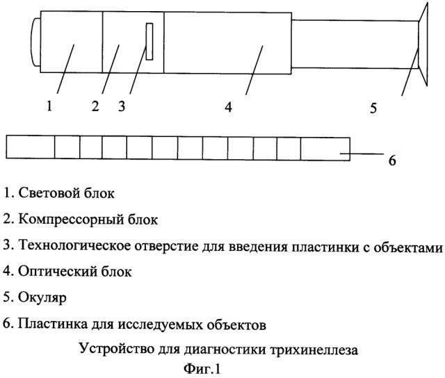 Устройство для диагностики трихинеллеза (патент 2595481)