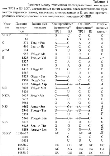 Инфекционные клоны полномерной кднк клещевого флавивируса (патент 2288266)
