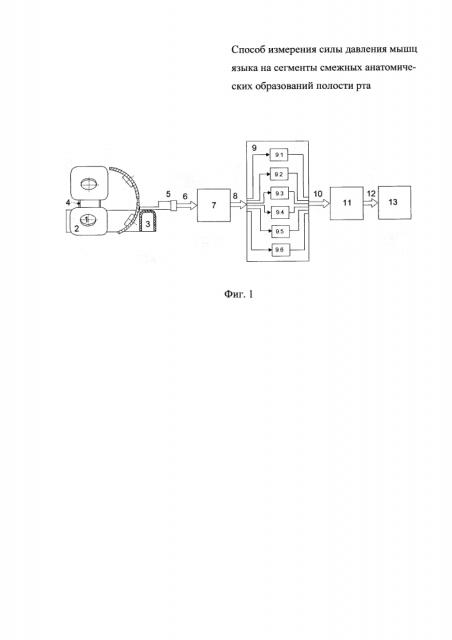 Способ измерения силы давления мышц языка на сегменты смежных анатомических образований полости рта (патент 2623309)