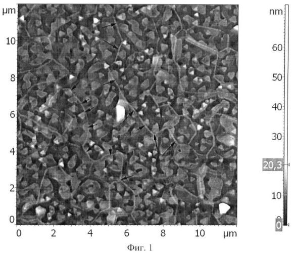 Способ препарирования тонких пленок висмута на слюде для выявления границ блоков методом атомно-силовой микроскопии (патент 2452934)