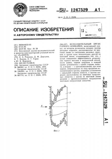 Исполнительный орган горного комбайна (патент 1247529)