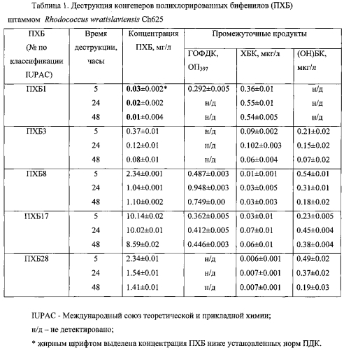 Штамм rhodococcus wratislaviensis - деструктор устойчивых токсичных хлорорганических соединений (патент 2585537)