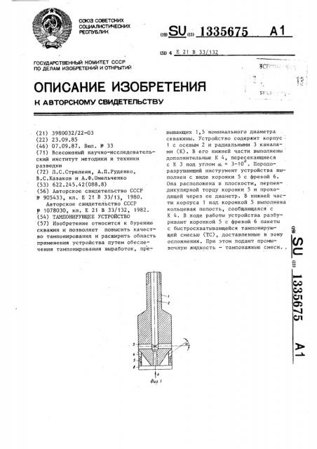 Тампонирующее устройство (патент 1335675)