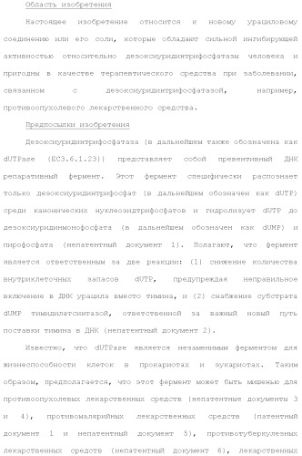 Новое урациловое соединение или его соль, обладающие ингибирующей активностью относительно дезоксиуридинтрифосфатазы человека (патент 2495873)