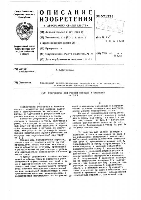 Устройство для увязки сеянцев и саженцев в тюки (патент 571223)