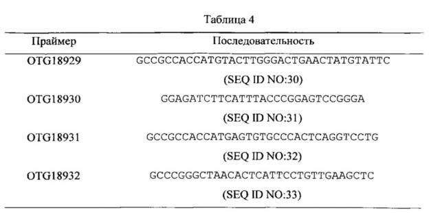 Антитело против ксф-1r (патент 2621859)