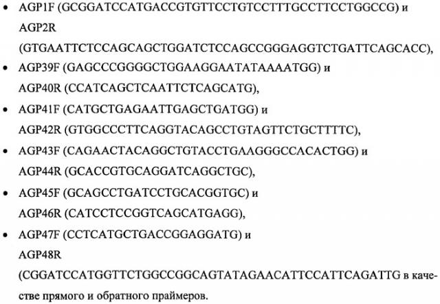 Ген agрopt ангиопоэтина-1 (патент 2385938)